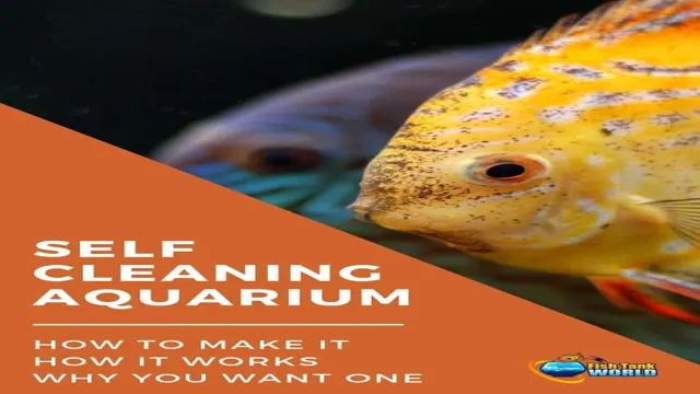 how to create a self cleaning aquarium