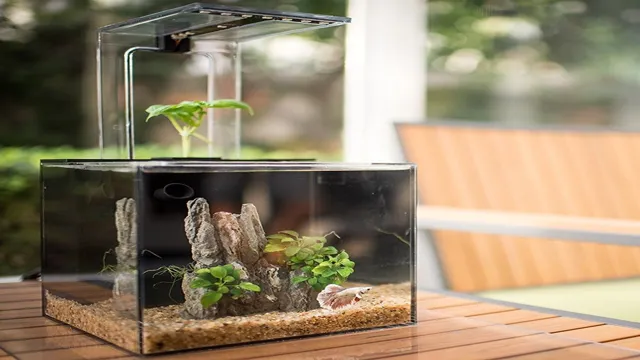how to create a self-sustaining ecosystem in an aquarium