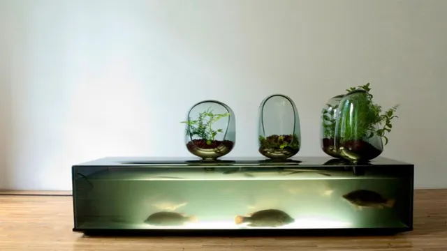 how to create a self sustaining freshwater aquarium