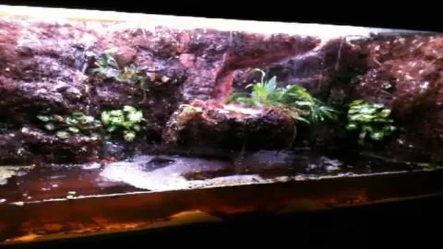 How to Create a Self Sustaining Waterfall Crab Aquarium: Ultimate Guide on Setting up a Self Sustaining Habitat