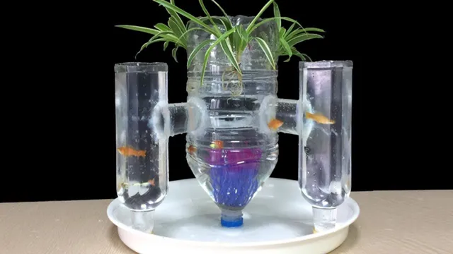 how to create a water bottle aquarium
