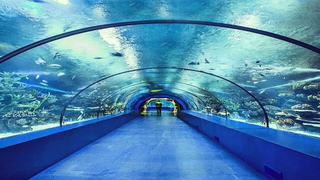 how to create aquarium tunnel