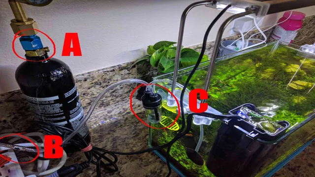 How to Create CO2 in Aquarium for Optimum Plant Growth: A Step-by-Step Guide