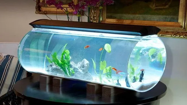 How to Create Current in an Aquarium: Tips and Techniques for Effective Water Flow