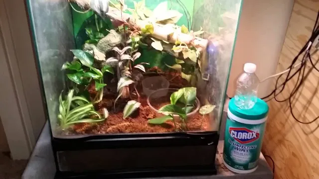 how to create humidity in an aquarium