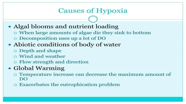 How to Create Hypoxic Aquarium Conditions: A Beginner’s Guide to Lower Oxygen Levels for Aquatic Life