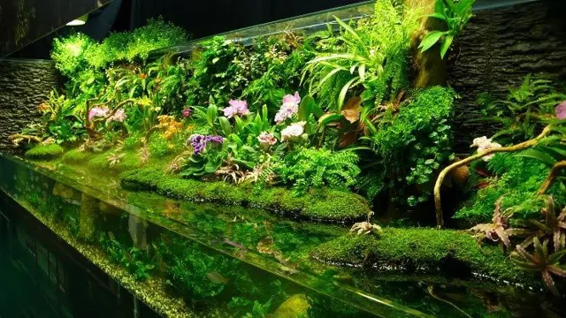 How to Create Land in an Aquarium: A Comprehensive Guide for Aquatic Enthusiasts