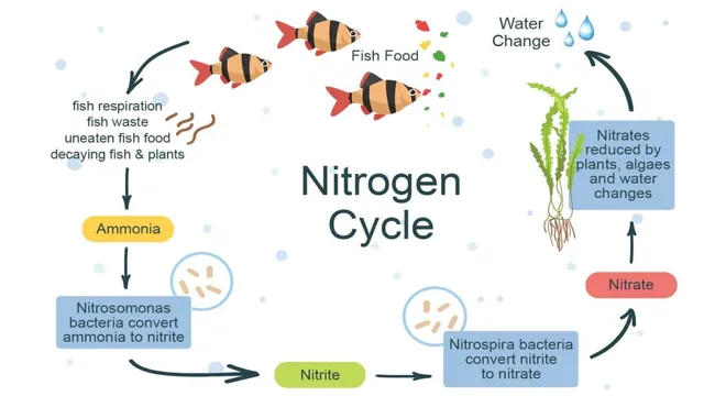 How to Create Nitrogen Cycle in Aquarium: A Comprehensive Guide