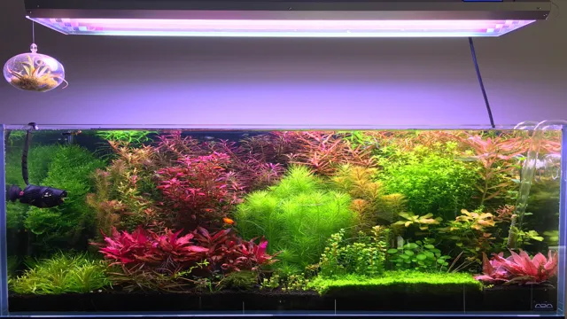 how to create planted aquarium