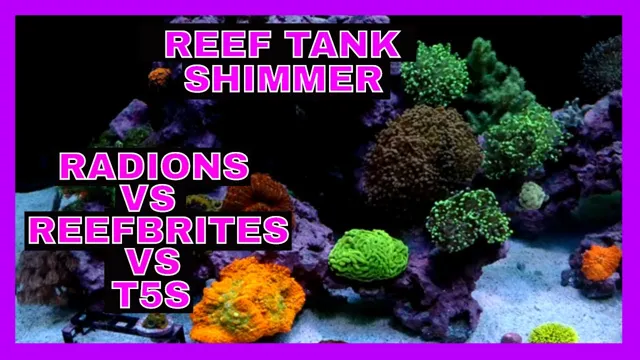 how to create shimmer aquarium