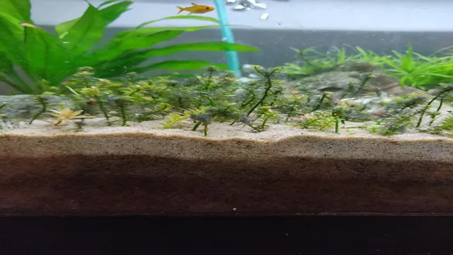 how to create substrate levels in aquarium