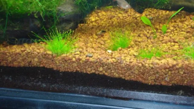 how to create substrate levels in aquarium