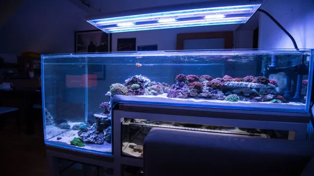 how to create your own aquarium drop off tank
