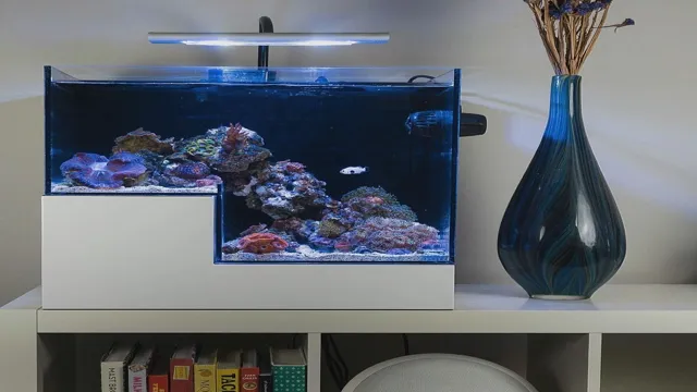 How to Create Your Own Aquarium Drop Off Tank in 5 Easy Steps