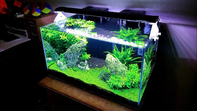 how to crystal clear aquarium water