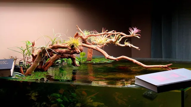 How to Cure Manzanita Wood for Aquarium: A Step-by-Step Guide to Ensure Your Fish’s Health