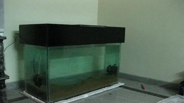 How to Cut and Make My Aquarium Hood Lower – Ultimate Guide for Optimum Lighting