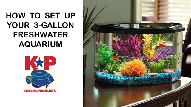 How to Cycle a 3 Gallon Aquarium: A Step-by-Step Guide to A Healthy Fish Tank