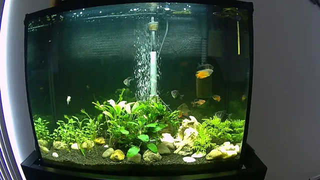how to cycle a 37 gallon freshwater aquarium