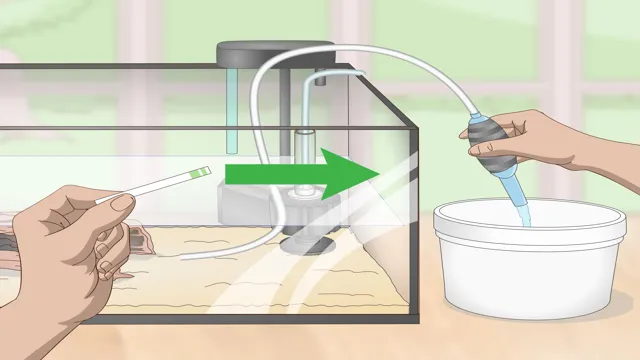 How to Cycle a Fishless Aquarium: A Simple and Effective Guide