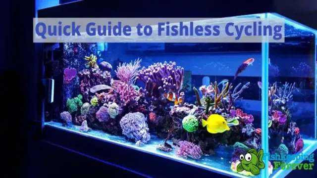 how to cycle a new aquarium without fish