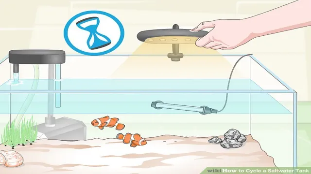 how to cycle a new saltwater aquarium