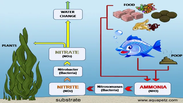 How to Cycle an Aquarium Existing Filter: A Step-by-Step Guide