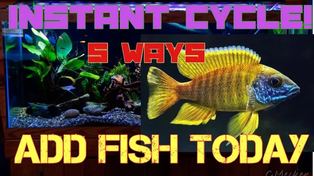 how to cycle an aquarium fast