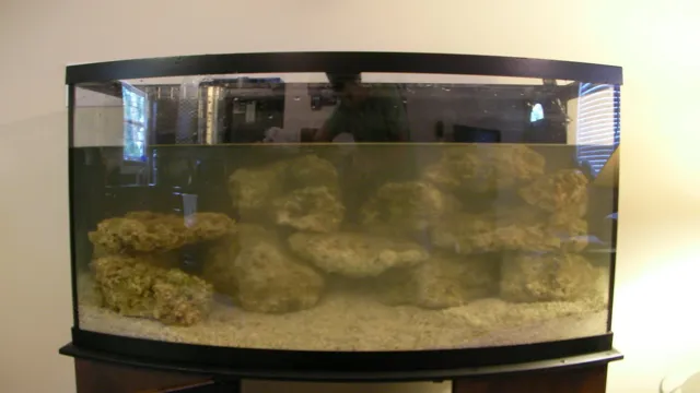 how to cycle an aquarium live rock