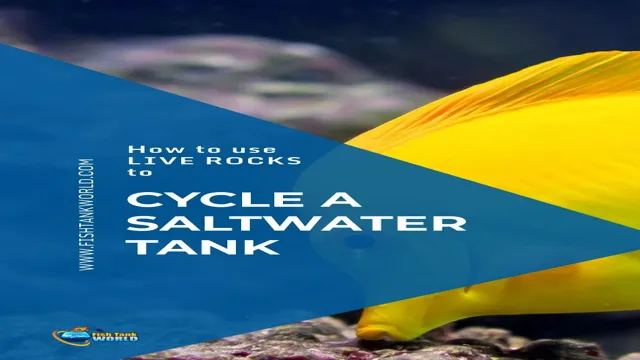 How to Cycle an Aquarium Live Rock for Optimal Water Quality