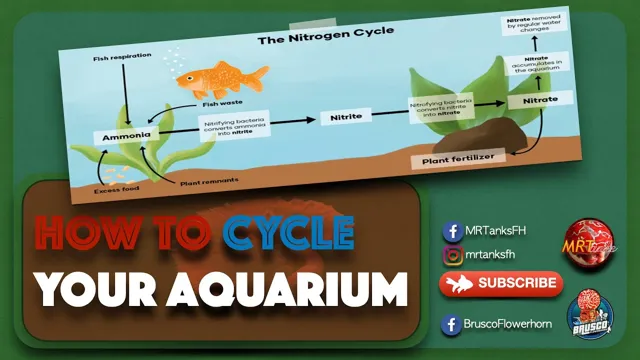 how to cycle an aquarium that presently has fish