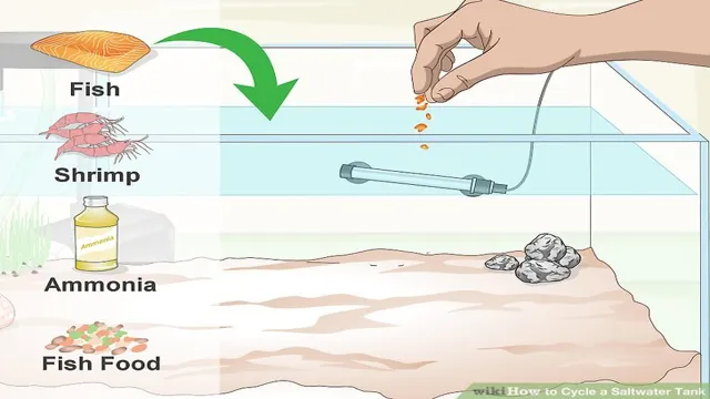 How to Cycle a Salt Water Aquarium: A Step-by-Step Guide to Perfectly Balanced Waters