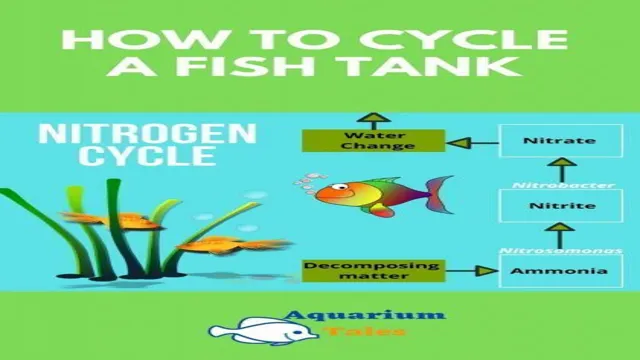 how to cycle aquarium with fish quickly