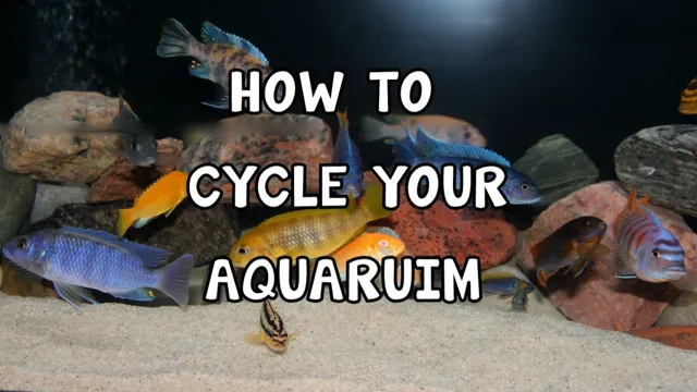 how to cycle aquarium with nothing