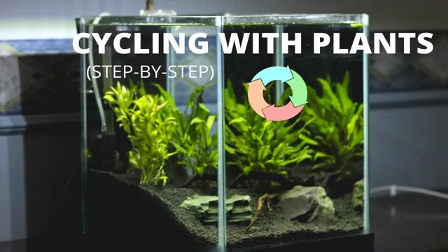 how to cycle planted aquarium