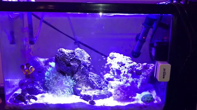 how to cycle saltwater aquarium fast