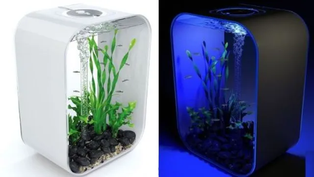 how to cycle your aquarium in 24 hours
