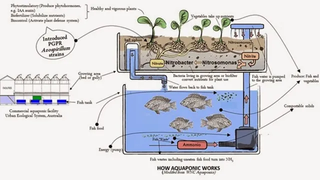 how to cycle your new aquarium