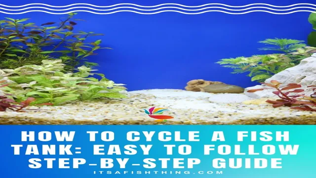 how to cycle.my aquarium