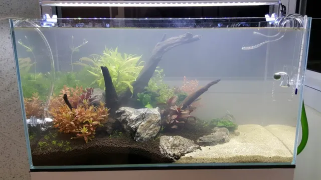 how to deal with cloudy aquarium water