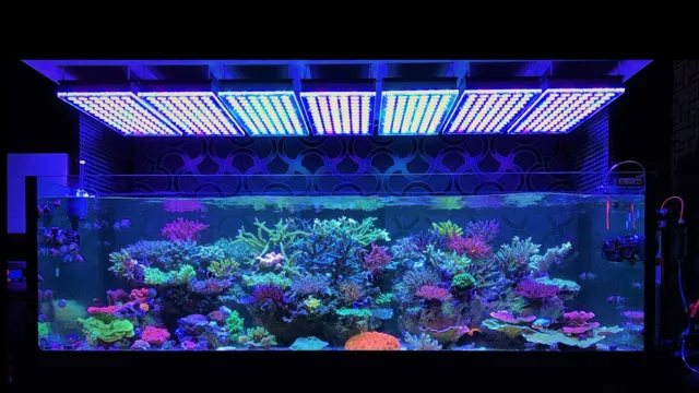 how to decide if led lighting is good for aquarium