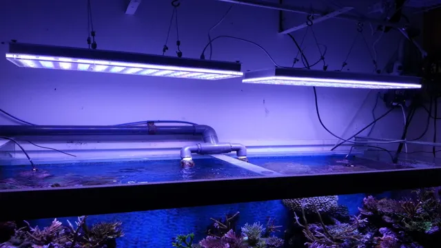 How to Decide if LED Lighting is Good for Aquarium: Expert Tips & Tricks