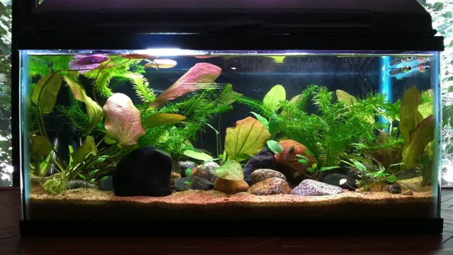 how to decorate 10 gallon aquarium for betta