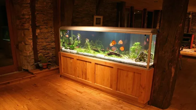 how to decorate a 55 gallon aquarium