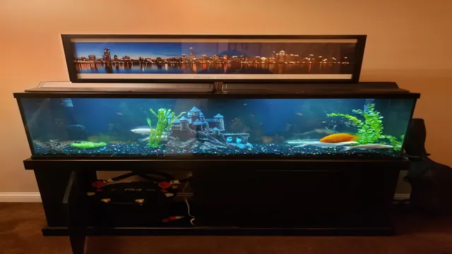 how to decorate a 55 gallon aquarium cheap