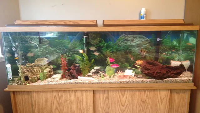 How to Decorate a 55 Gallon Aquarium: Tips and Ideas for a Stunning Aquatic Display