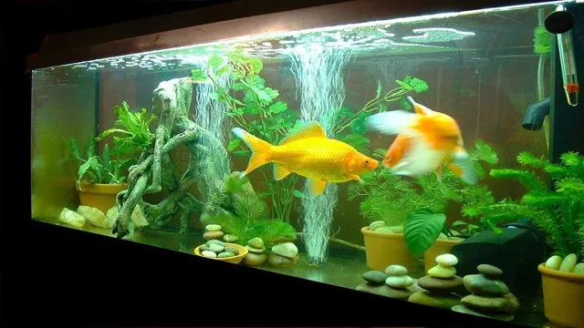 How to Decorate a Aquarium for Goldfish: Tips and Ideas for a Beautiful Aquarium Setup