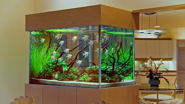 how to decorate an aquarium ideas
