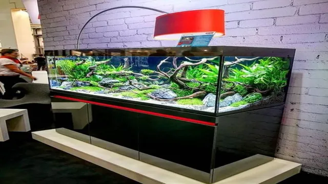 how to decorate aquarium in home