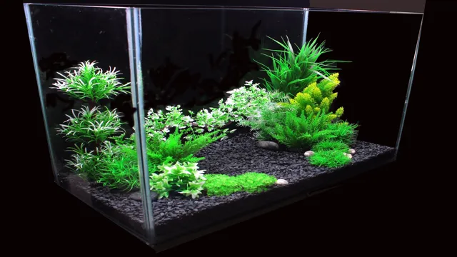 how to decorate aquarium with artificial plants